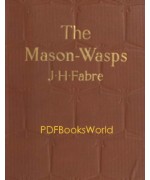 The Mason-Wasps