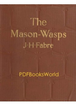 The Mason-Wasps