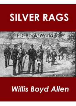 Silver Rags