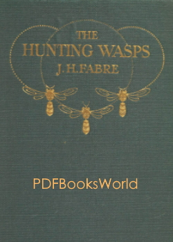 The Hunting Wasps