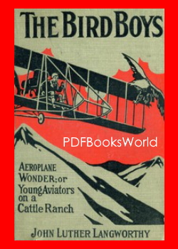 The Bird Boys' Aeroplane Wonder