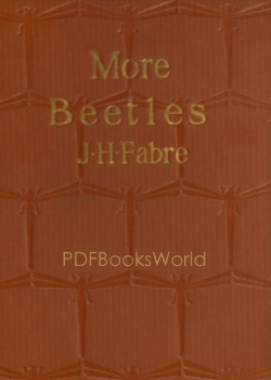 More Beetles