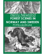 Forest Scenes in Norway and Sweden