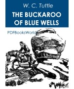 The Buckaroo of Blue Wells