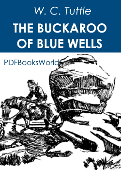 The Buckaroo of Blue Wells