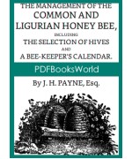 Bee-keeping for the Many