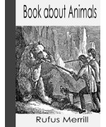 Book about Animals