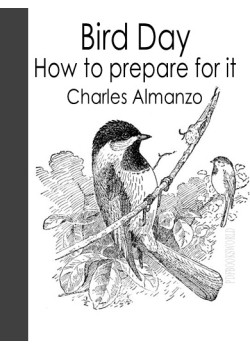 Bird Day; How to prepare for it