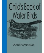 Child's Book of Water Birds