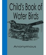 Child's Book of Water Birds