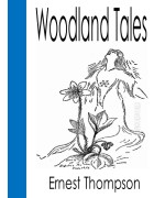 Woodland Tales