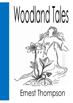 Woodland Tales