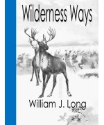 Wilderness Ways