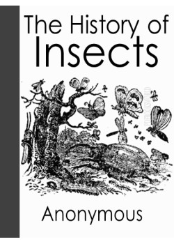 The History of Insects