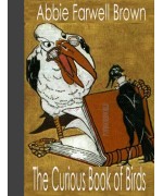 The Curious Book of Birds