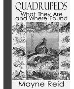 Quadrupeds, What They Are and Where Found