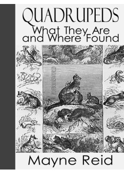 Quadrupeds, What They Are and Where Found