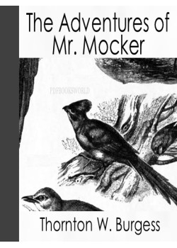 The Adventures of Mr. Mocker