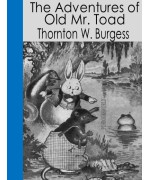 The Adventures of Old Mr. Toad