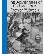 The Adventures of Old Mr. Toad