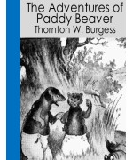 The Adventures of Paddy Beaver