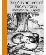 The Adventures of Prickly Porky